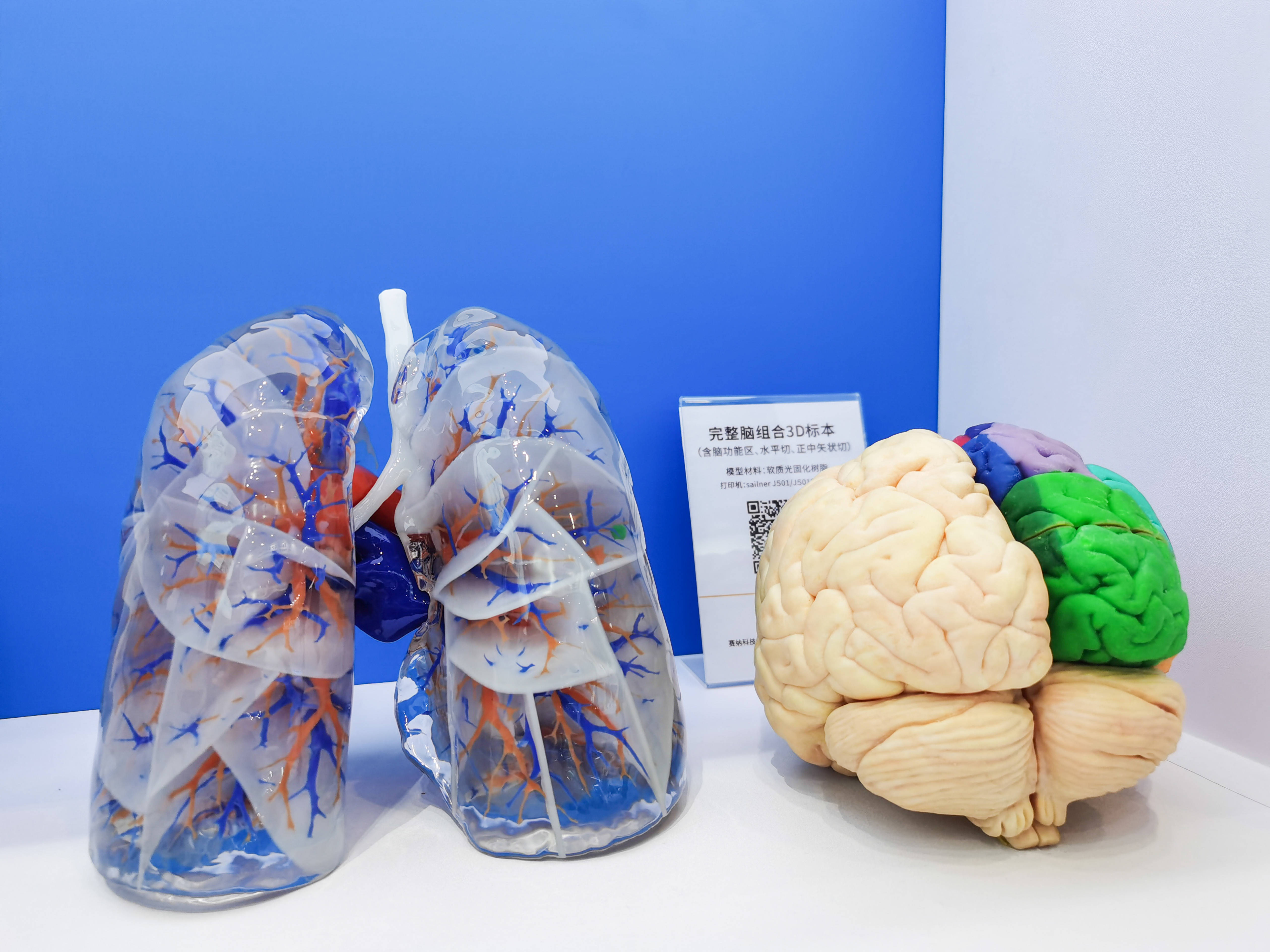 ?0.1毫米誤差+生物活性材料：3D打印正在重新定義醫(yī)療未來